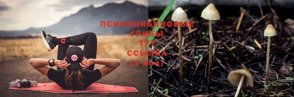 шишки Алзамай