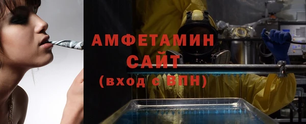 шишки Алзамай