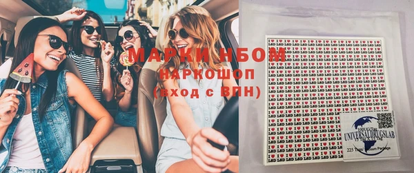 шишки Алзамай