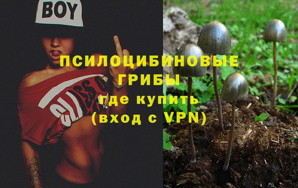 шишки Алзамай