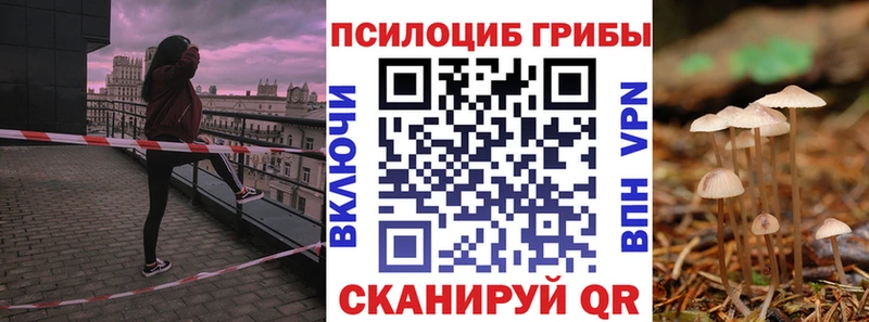 купить наркотики цена  Махачкала  Галлюциногенные грибы Magic Shrooms 